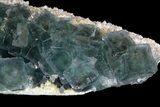Cubic, Blue-Green Fluorite Crystals on Quartz - China #138712-2